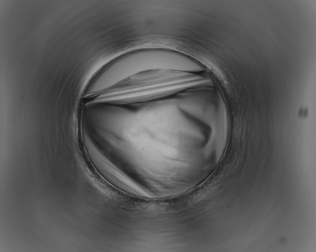 X0000091960936200710041025