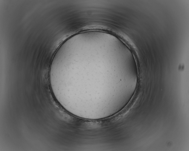 X0000091960937200710041025