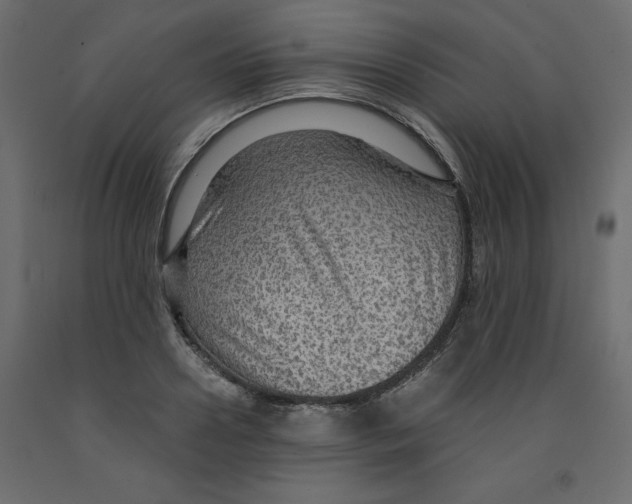 X0000091960938200710041025