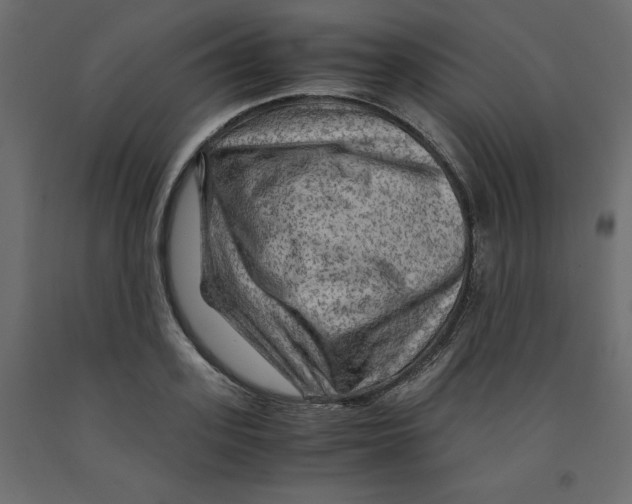 X0000091960939200710041025