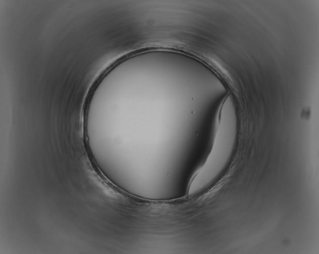 X0000091960940200710041025