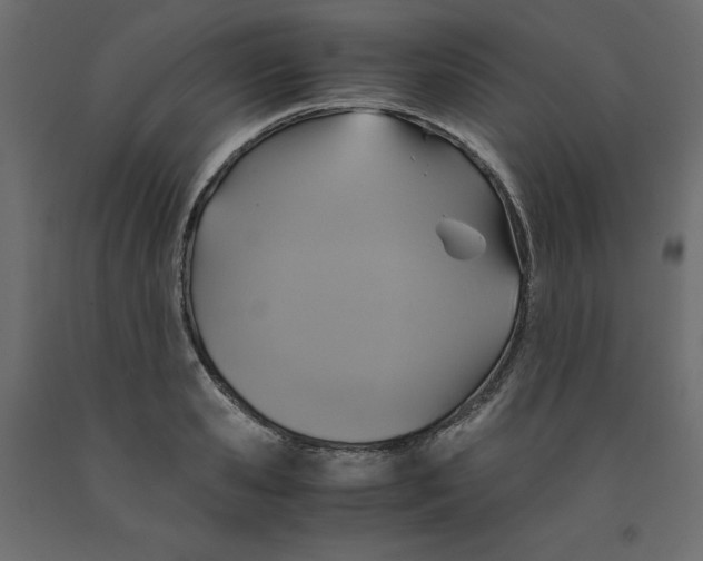 X0000091960941200710041025