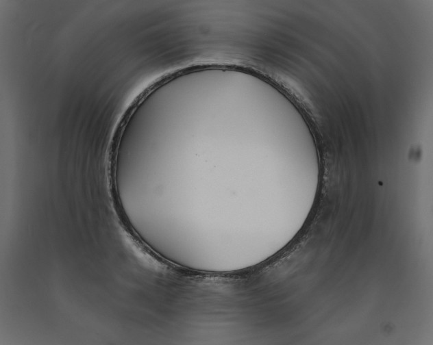 X0000091960942200710041025