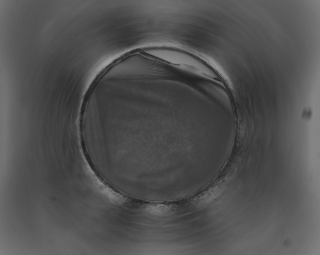 X0000091960943200710041025