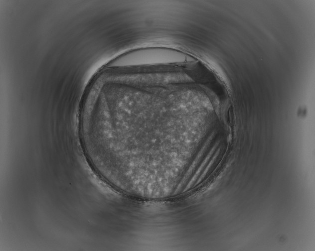 X0000091960944200710041025
