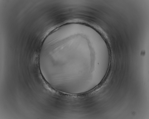 X0000091960945200710041025