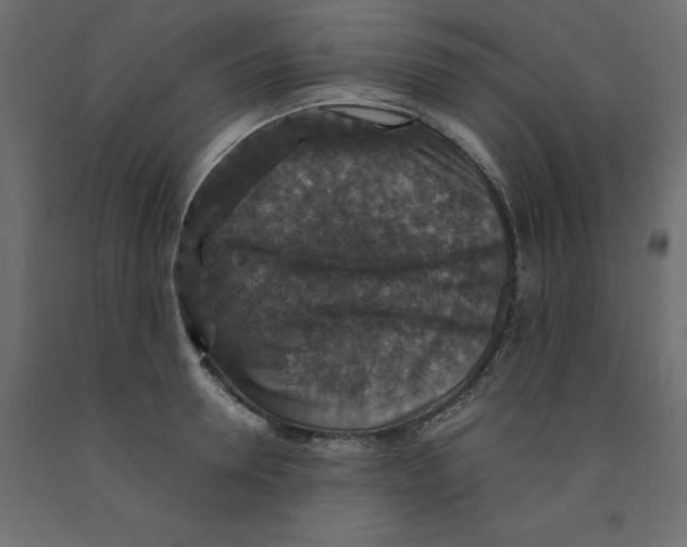 X0000091960946200710041025