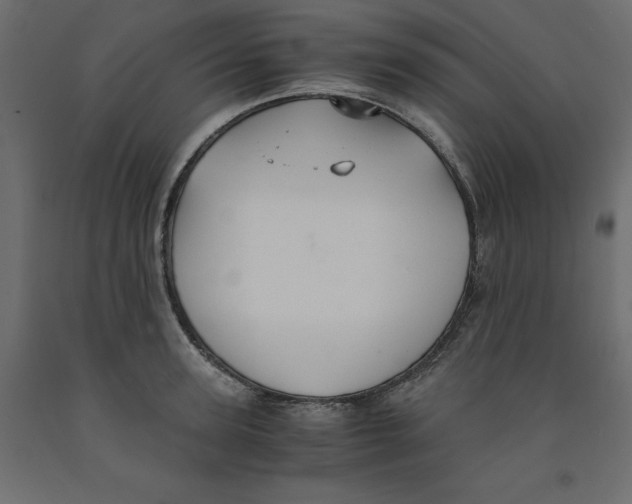 X0000091960947200710041025