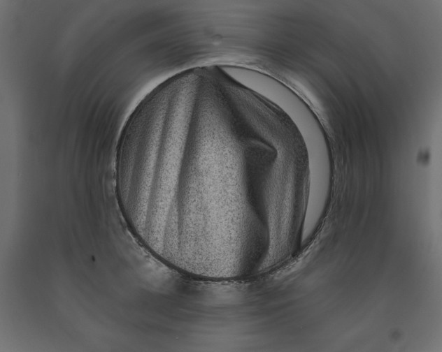 X0000091960948200710041025