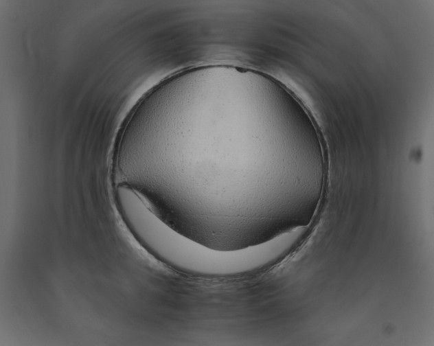 X0000091960949200710041025