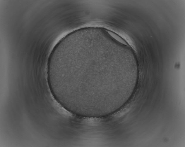 X0000091960950200710041025