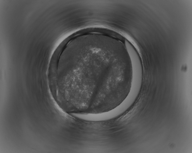 X0000091960951200710041025