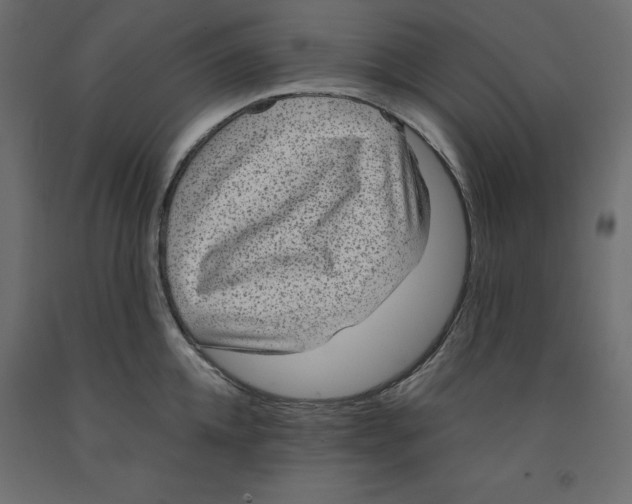 X0000091960952200710041025