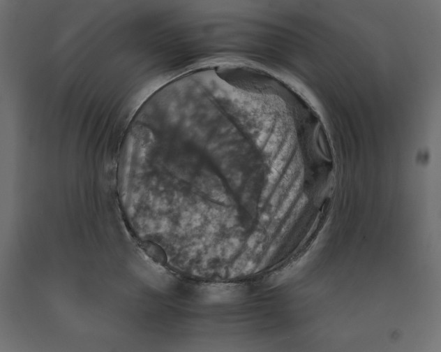 X0000091960953200710041025