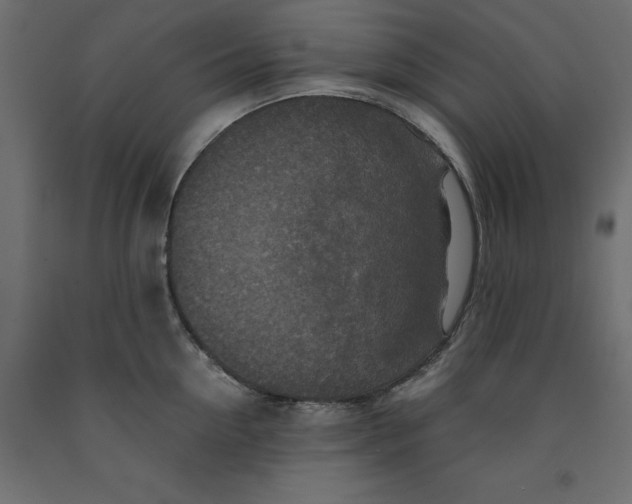 X0000091960954200710041025
