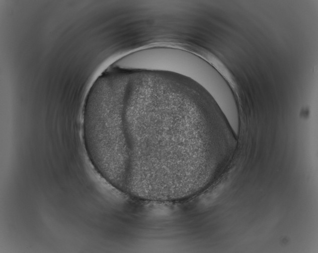 X0000091960955200710041025