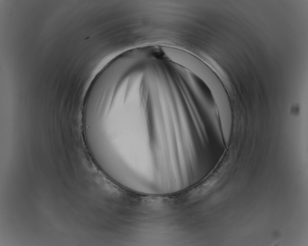 X0000091960956200710041025