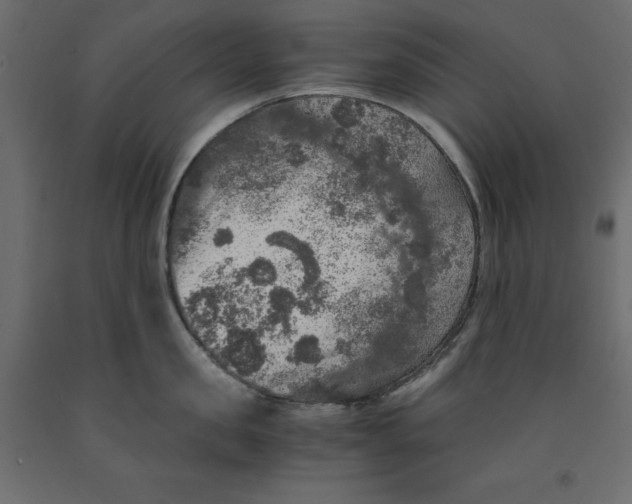 X0000091960957200710041025