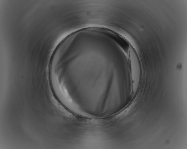 X0000091960958200710041025