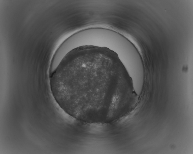 X0000091960959200710041025
