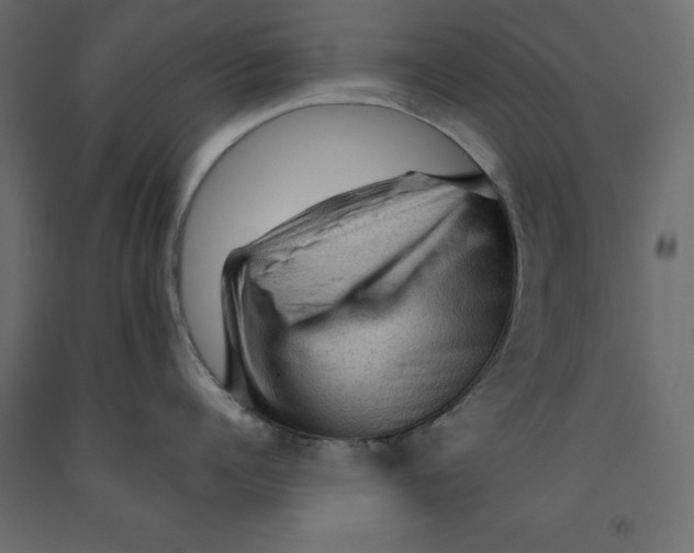 X0000091960960200710041025