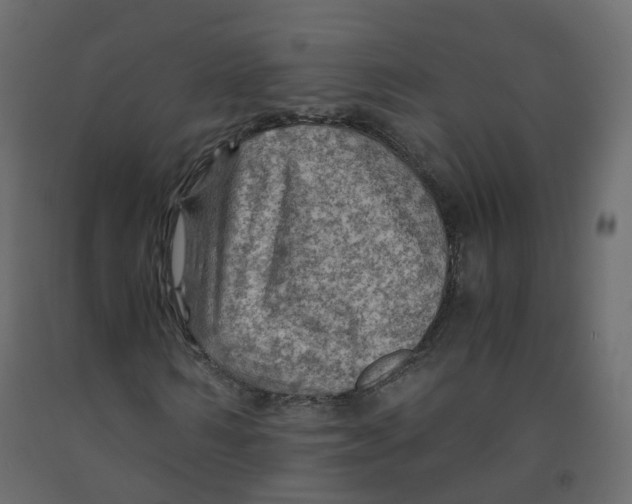 X0000091960962200710041025
