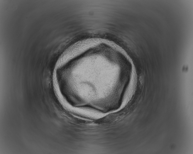 X0000091960963200710041025