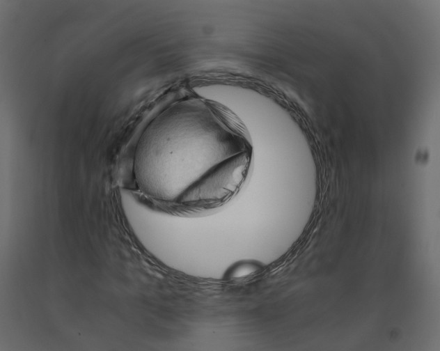 X0000091960965200710041025