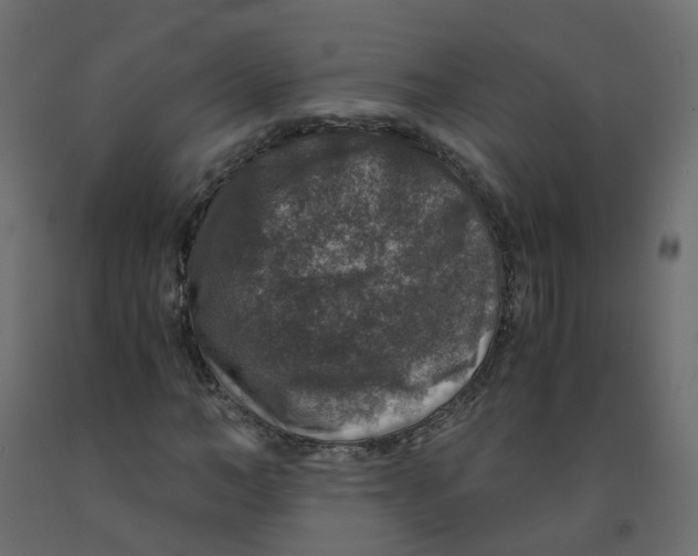 X0000091960966200710041025