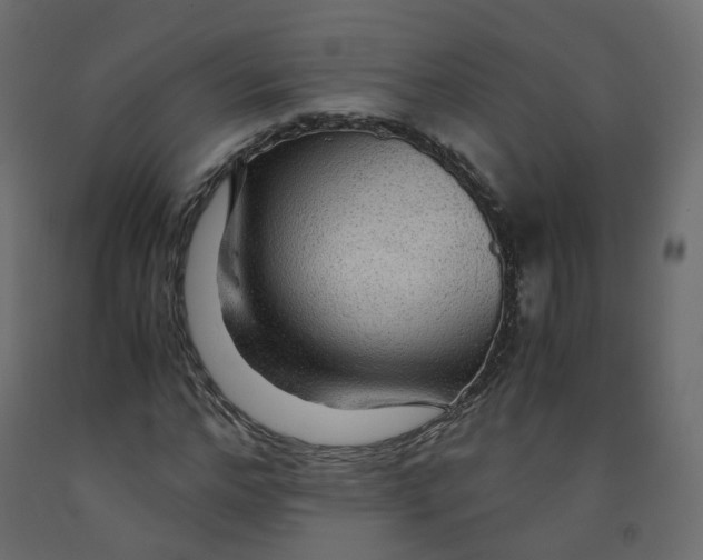 X0000091960968200710041025