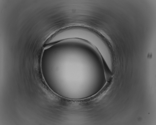 X0000091960969200710041025
