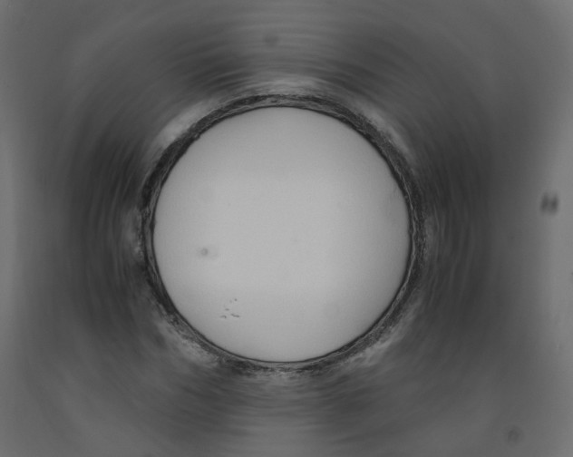 X0000091960970200710041025