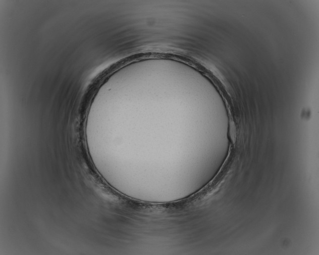 X0000091960971200710041025