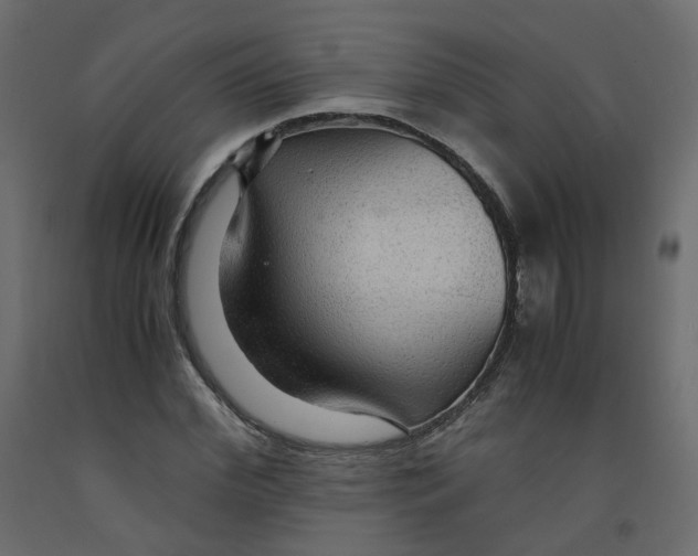 X0000091960972200710041025
