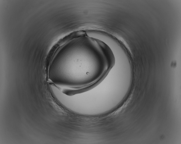 X0000091960973200710041025
