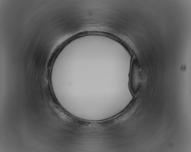 X0000091960974200710041025
