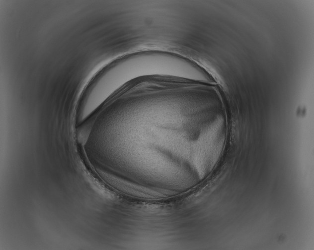 X0000091960976200710041025
