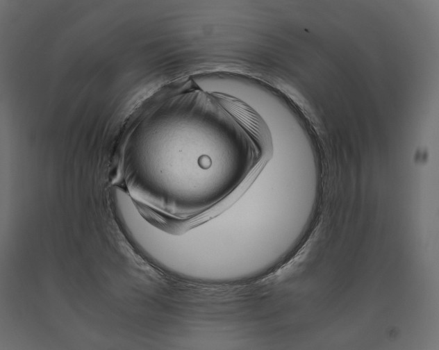 X0000091960977200710041025