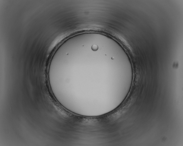 X0000091960978200710041025