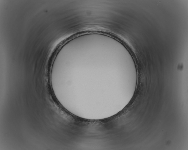 X0000091960979200710041025