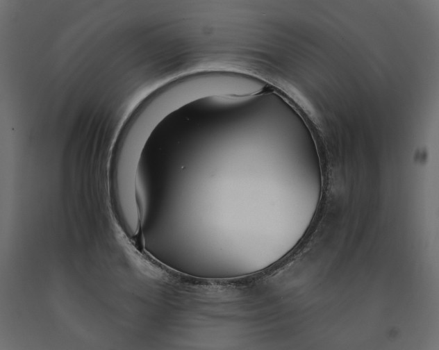X0000091960980200710041025