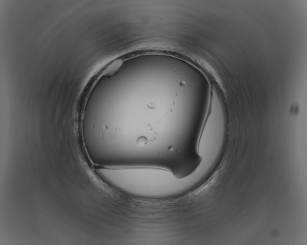 X0000091960981200710041025