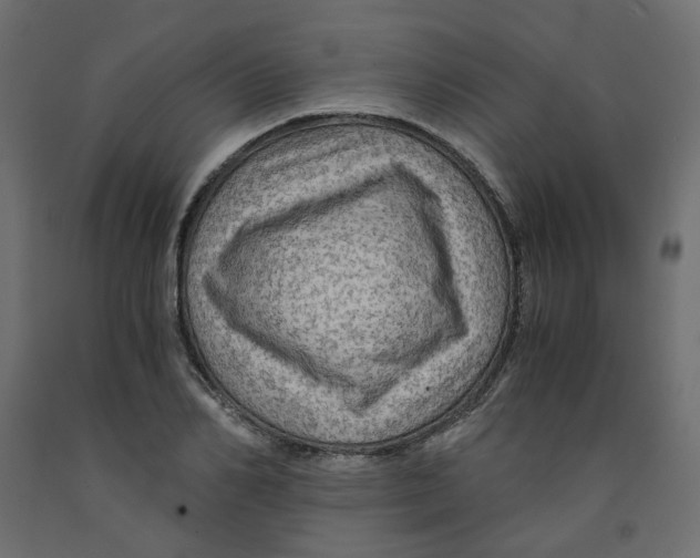 X0000091960982200710041025