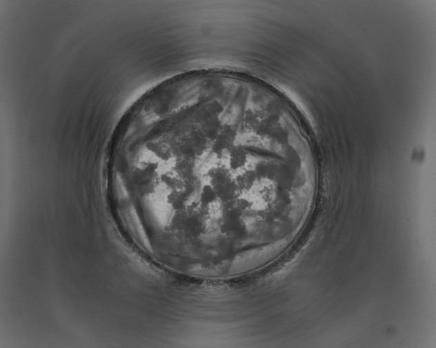 X0000091960983200710041025