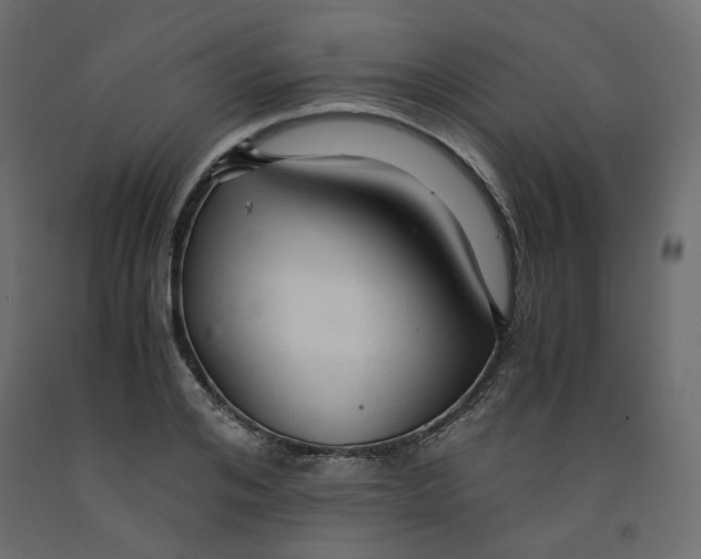 X0000091960984200710041025