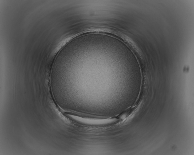 X0000091960985200710041025