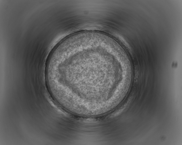 X0000091960986200710041025