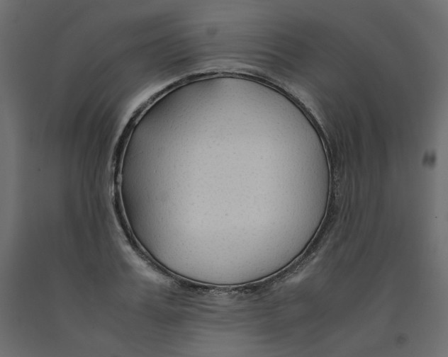 X0000091960987200710041025