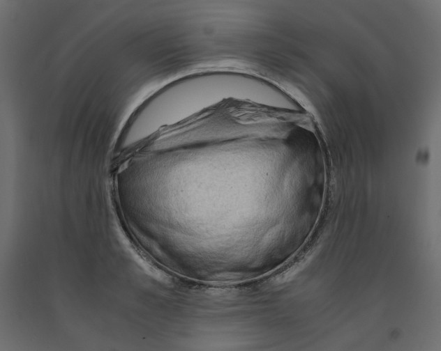 X0000091960989200710041025