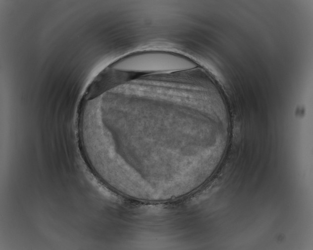 X0000091960990200710041024